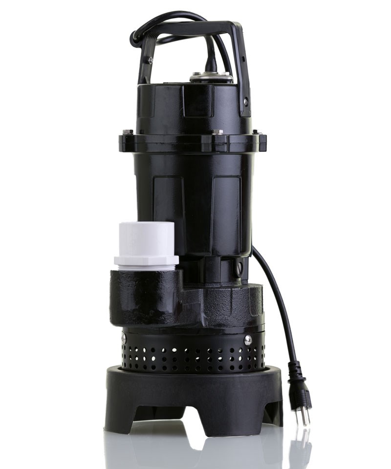 Test Item Category | فئة1