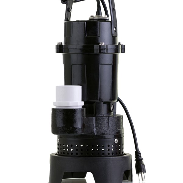 Test Item Category | فئة1